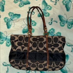 Stylish Black and Brown Women's Bag